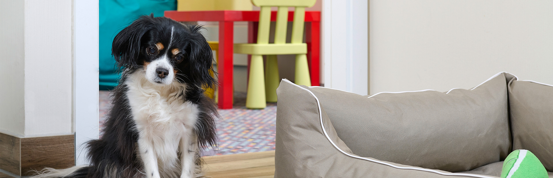 A happy dog enjoys his food and toys