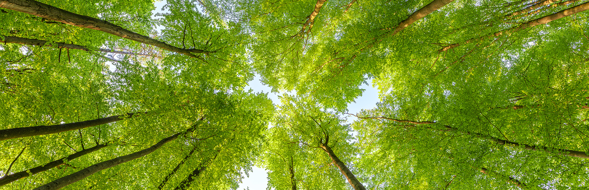 Sustainability SI-SUITES Stuttgart
